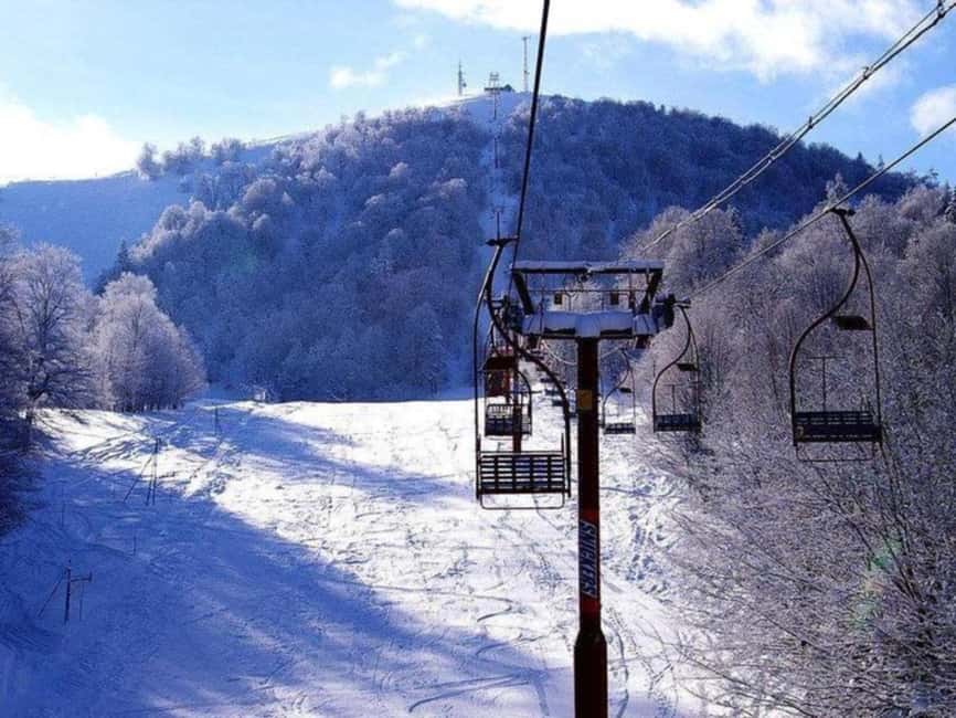 From Tbilisi: Borjomi and Bakuriani Ski resort Day Trip ❄️☃️ - Key points at a glance