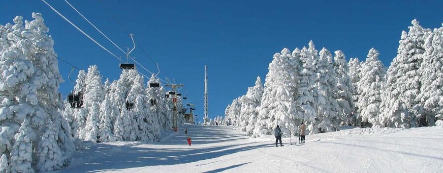 From Tbilisi: Borjomi and Bakuriani Ski resort Day Trip ❄️☃️ - Borjomi Central Park and the famous spring