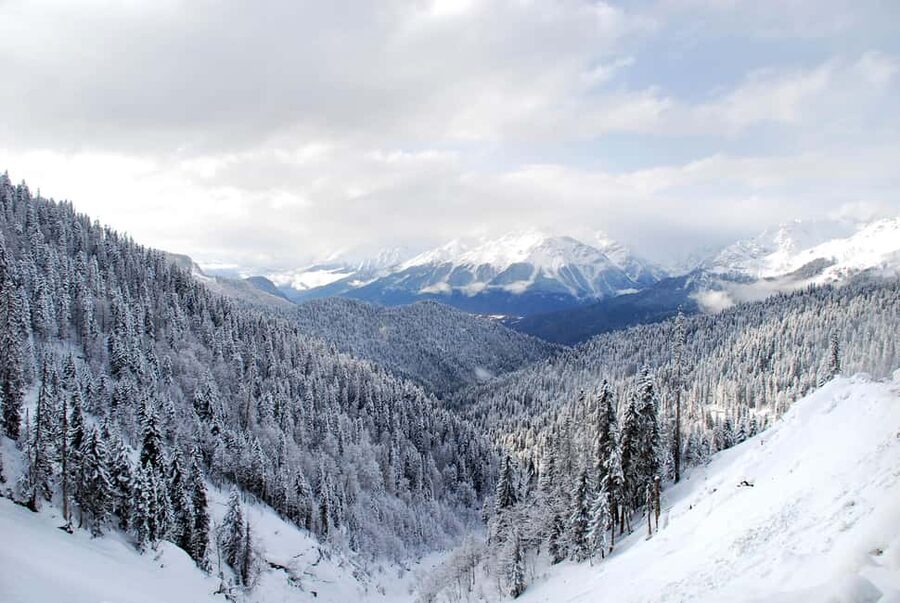 From Tbilisi: Borjomi and Bakuriani Ski resort Day Trip ❄️☃️ - Practical preparation for the day