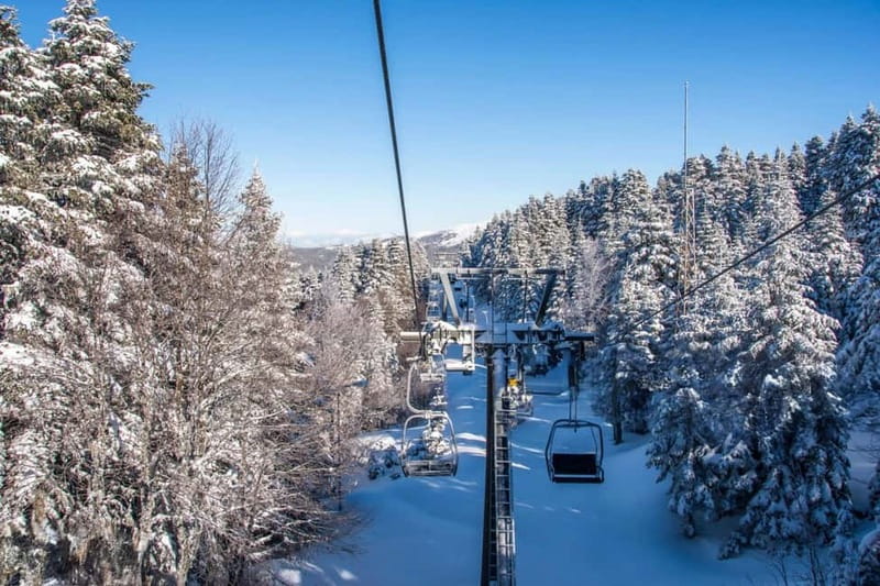 From Tbilisi: Borjomi and Bakuriani Ski Resort Private Tour - What Makes This Day Trip Worth Considering
