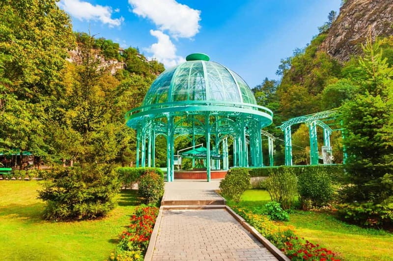 From Tbilisi: Borjomi and Bakuriani Ski Resort Private Tour - Timing, Comfort, and Physical Demands