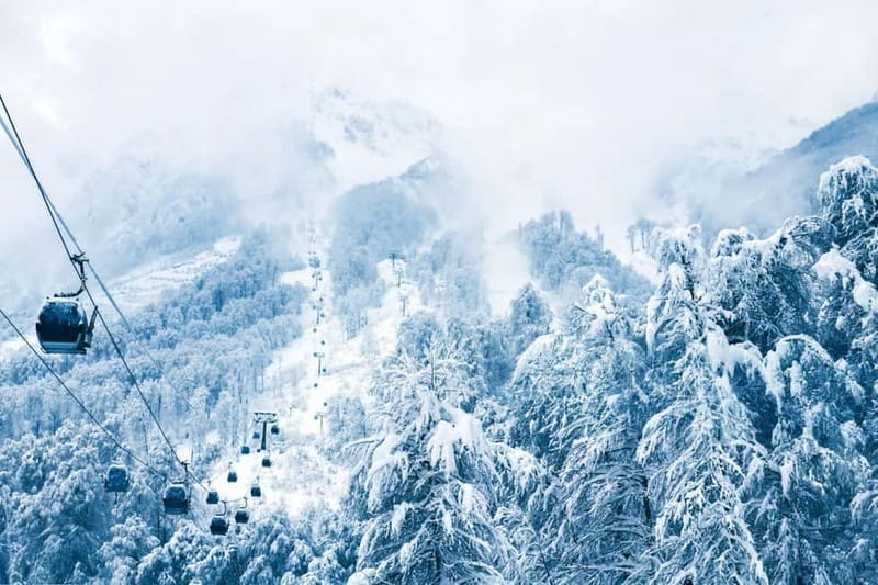 From Tbilisi: Borjomi and Bakuriani Ski Resort Private Tour - Borjomi Central Park and the Famous Spring