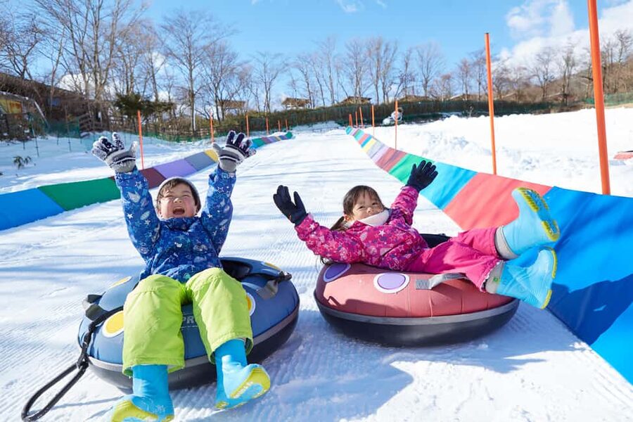 From Tokyo: Fujiyama Snow Resort Yeti Winter Ski Day Tour - Is $49 good value?