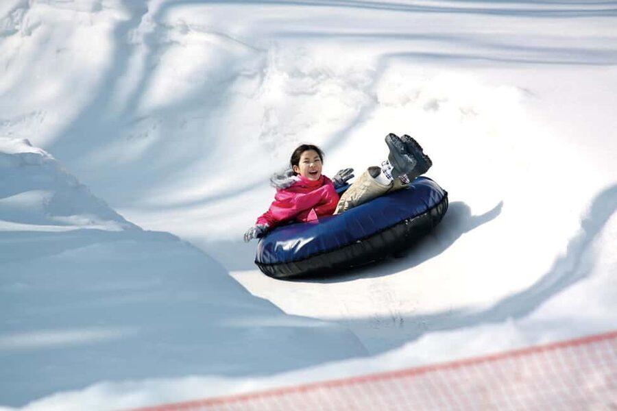 From Tokyo: Fujiyama Snow Resort Yeti Winter Ski Day Tour - The long ride home and the drop-off
