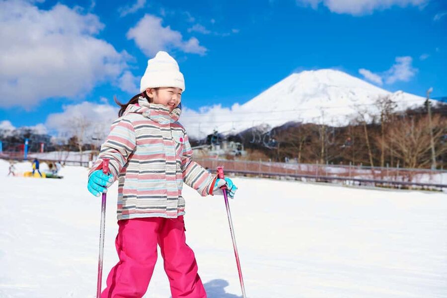From Tokyo: Fujiyama Snow Resort Yeti Winter Ski Day Tour - Who should book this snow day?