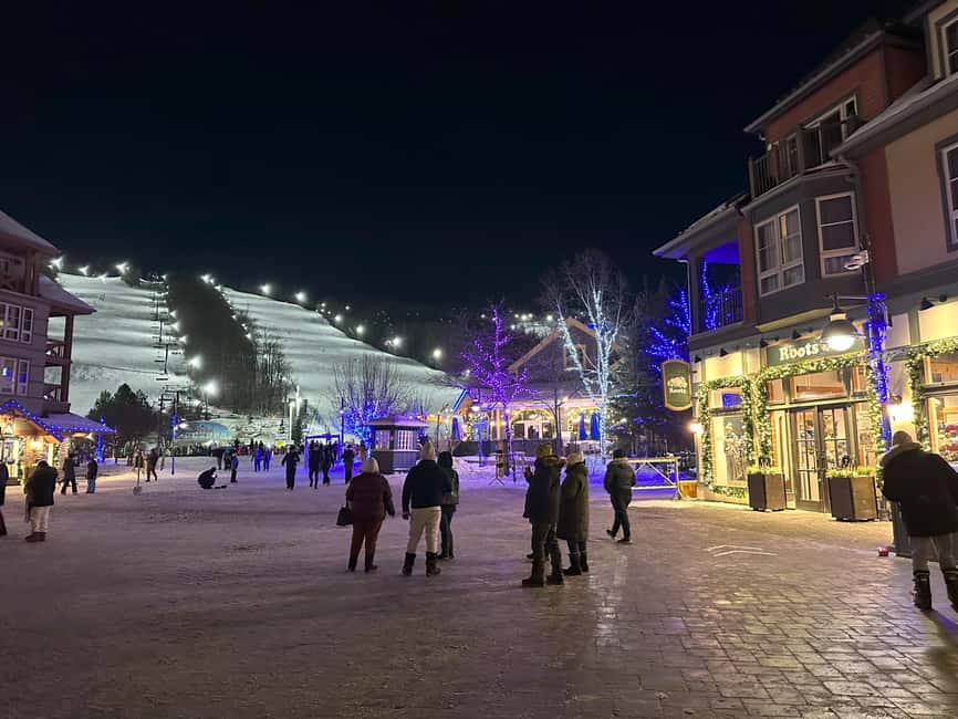 From Toronto: Blue Mountain Day Trip Skiing Snowboarding - Collingwood and the Southern Shore