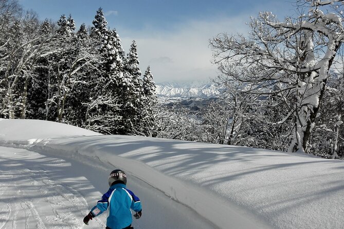 Full Day Ski Lesson (6 hours) in Yuzawa, Japan - What the first lesson may feel like