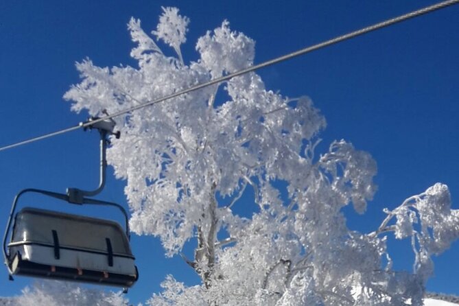 Full Day Ski Lesson (6 hours) in Yuzawa, Japan - Language choice and group comfort