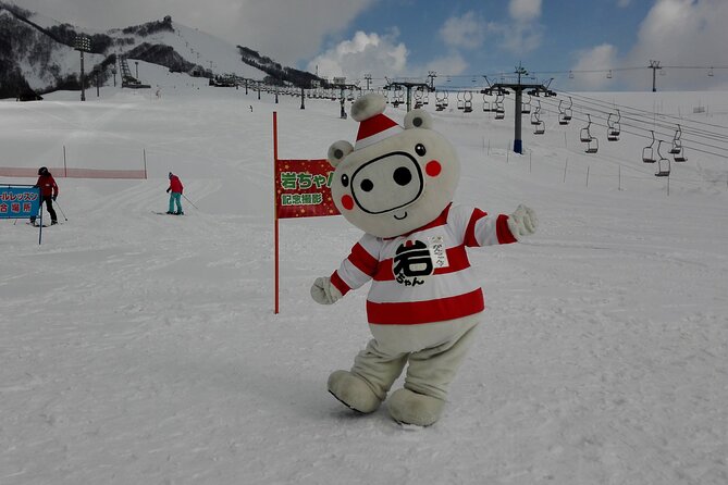 Full Day Ski Lesson (6 hours) in Yuzawa, Japan - Why private instruction can be worth the price