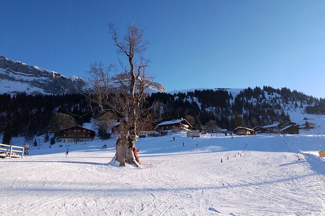 Fully organized Ski Experience for Private Groups - Giessbach Waterfalls or Iseltwald after skiing