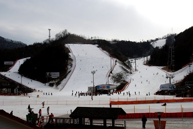 Gangchon Elysian Ski Day Trip from Seoul - Who will get the most from this day trip