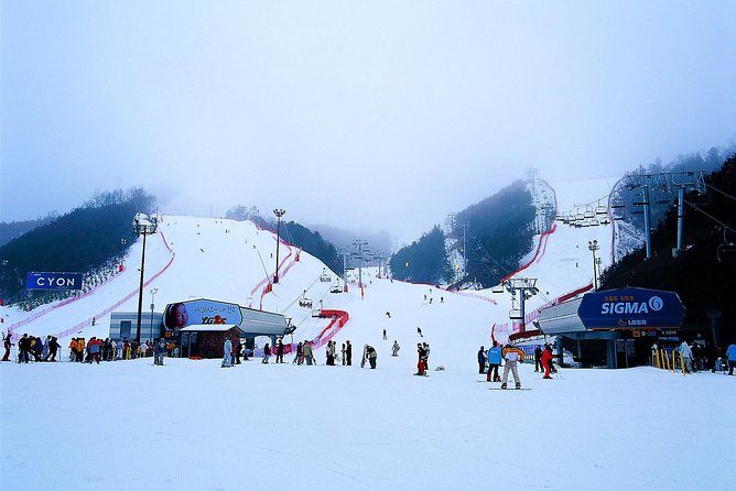 Gangchon Elysian Ski Day Trip from Seoul - Picking the right activity package