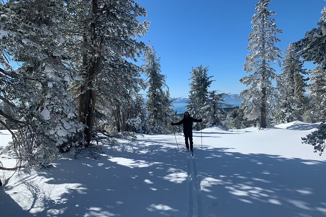 Guided Cross Country Skiing at Lake Tahoe - Why the changing trail location matters