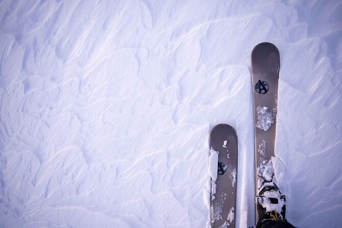 Half-Day Backcountry Skiing Tour in Levi with Photography Guide - Price, transport, and what you receive