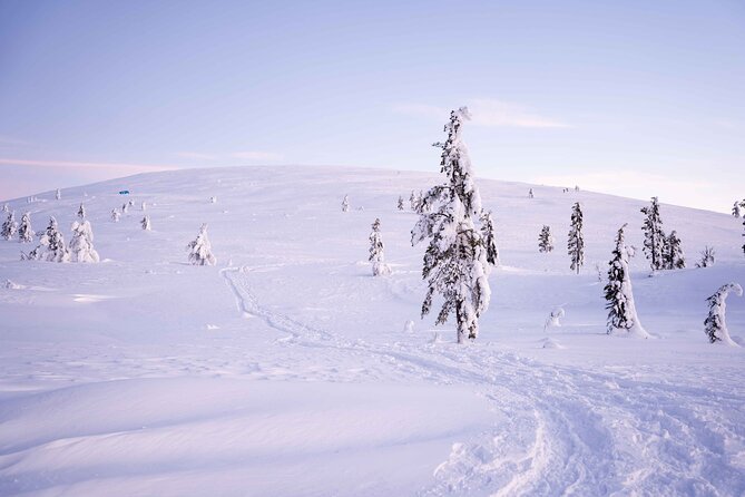 Half-Day Backcountry Skiing Tour in Levi with Photography Guide - Weather and cancellation rules to keep in mind