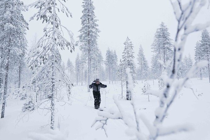 Half-Day Backcountry Skiing Tour in Levi with Photography Guide - What the four-hour itinerary feels like