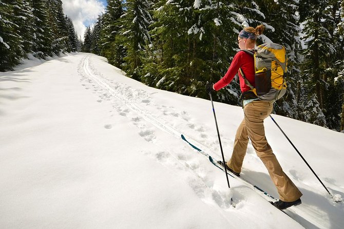 Half-Day Guided Backcountry Ski Touring Experience near Incline Village - Key points to know before you go
