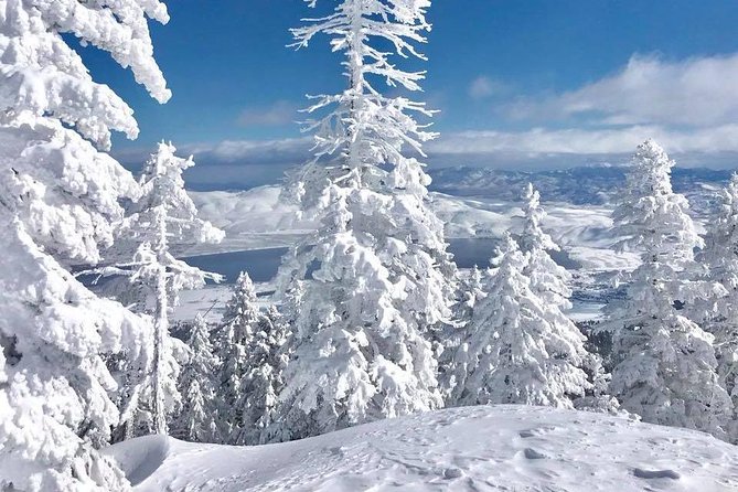Half-Day Guided Backcountry Ski Touring Experience near Incline Village - Starting at 692 Bridger Court in Incline Village