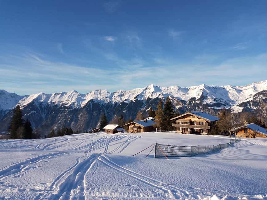 Interlaken: All-inclusive Half-day Ski Taster for beginners - Timing, flexibility, and small practical details