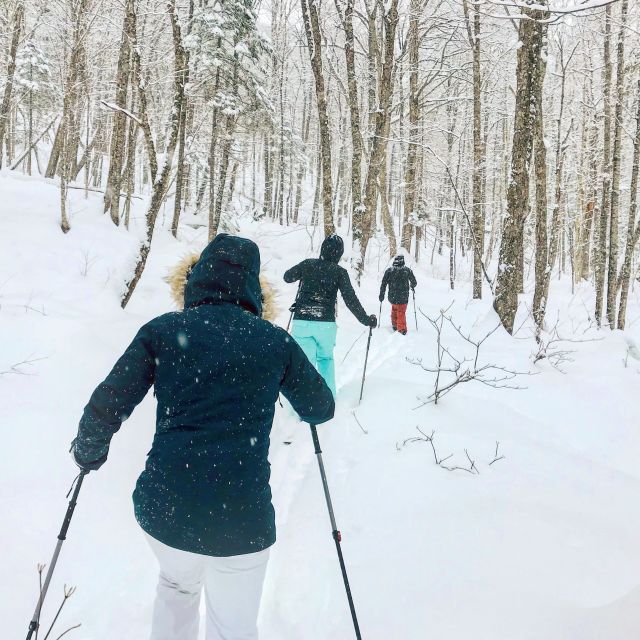 Jacques-Cartier National Park: Skiing Excursion - Key points at a glance