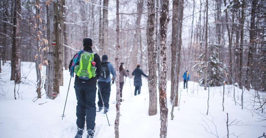 Jacques-Cartier National Park: Skiing Excursion - Three hours on quiet snowy trails