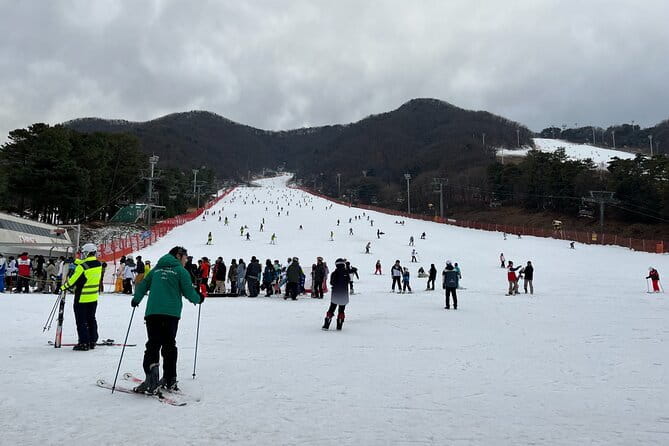 Jisan Forest Ski Resort and Everland 1 Day Tour - Picking the right Jisan option