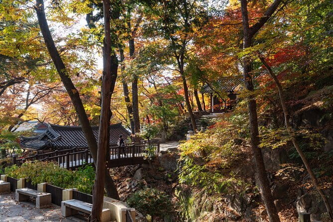 Jisan Forest Ski Resort and Everland 1 Day Tour - The 40-minute transfer to Everland