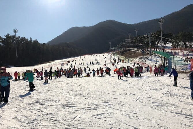 Jisan Forest Ski Resort and Everland 1 Day Tour - Getting from Seoul to Jisan