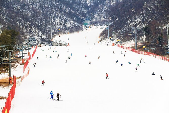 Jisan Forest Winter Ski Day Tour from Seoul with Basic Lesson - The morning meeting and bus transfer