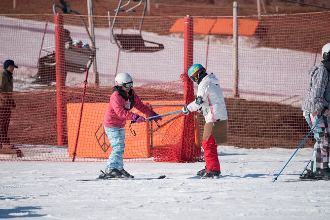 Jisan Forest Winter Ski Day Tour from Seoul with Basic Lesson - Who should book this Jisan ski day?