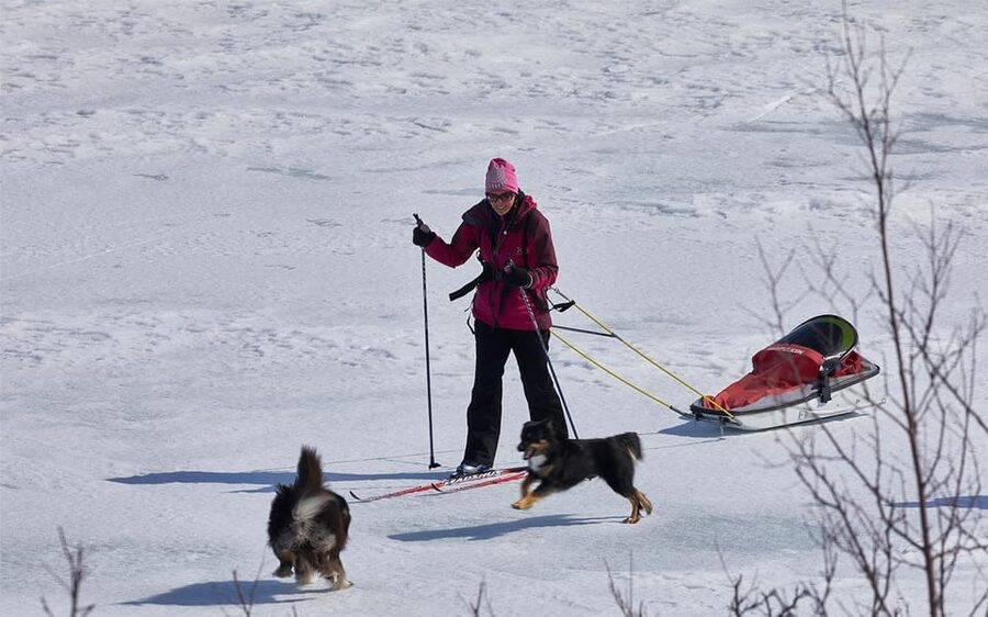 Kiruna: Cross-Country Skiing Tour with a Guide - Getting fitted with ski equipment