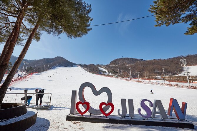 Korea Ski Tour from Seoul - Jisan Resort with Isaac Toast - Key points at a glance