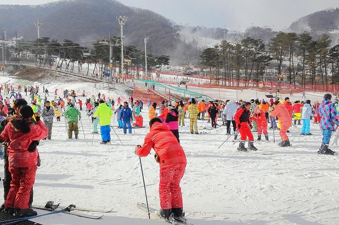 Korea Ski Tour from Seoul - Jisan Resort with Isaac Toast - Free time on the slopes after class