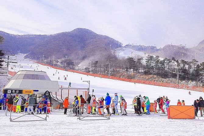 Korea Ski Tour from Seoul - Jisan Resort with Isaac Toast - Who will get the most from this tour