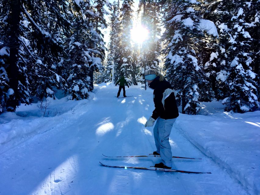 Lake Louise: Cross Country Skiing Lesson with Tour - Key points to know before you go
