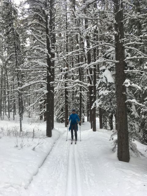 Lake Louise: Cross Country Skiing Lesson with Tour - Meeting at Lake Louise at 10:30 AM