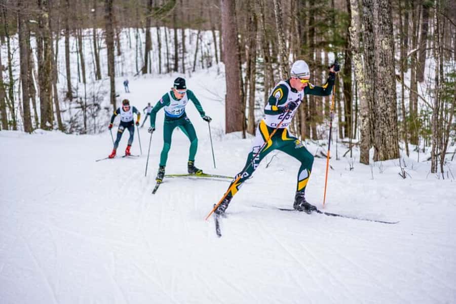 Lake Tahoe: Guided Cross Country Skiing Tour - Key points at a glance