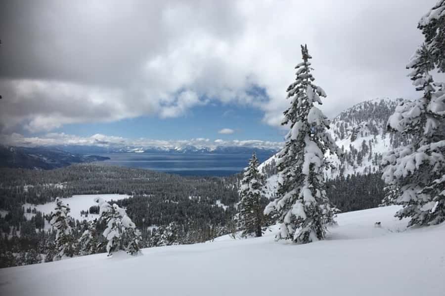 Lake Tahoe: Guided Cross Country Skiing Tour - Following a groomed trail near Lake Tahoe