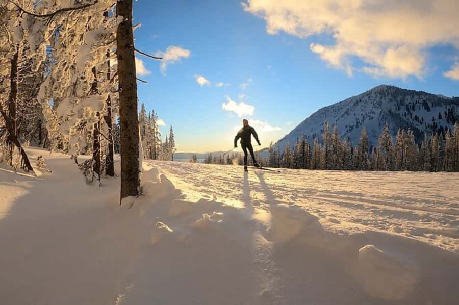 Lake Tahoe: Guided Cross Country Skiing Tour - Equipment included, and what that means for you