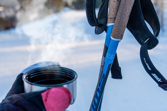 Learn Nordic Skiing - Private Class with Professional Instructor - Who should book this lesson?