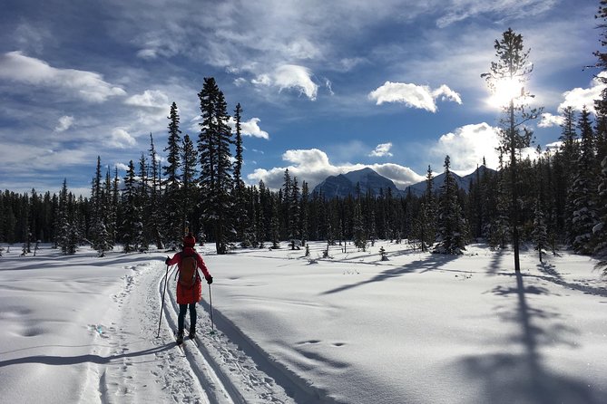 Learn to Cross Country Ski in Lake Louise - What happens when you arrive at 10:30 am