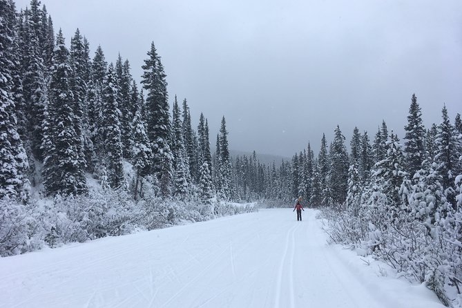 Learn to Cross Country Ski in Lake Louise - Learning to fall, stand, glide, and stop