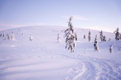 Backcountry Skiing Adventure