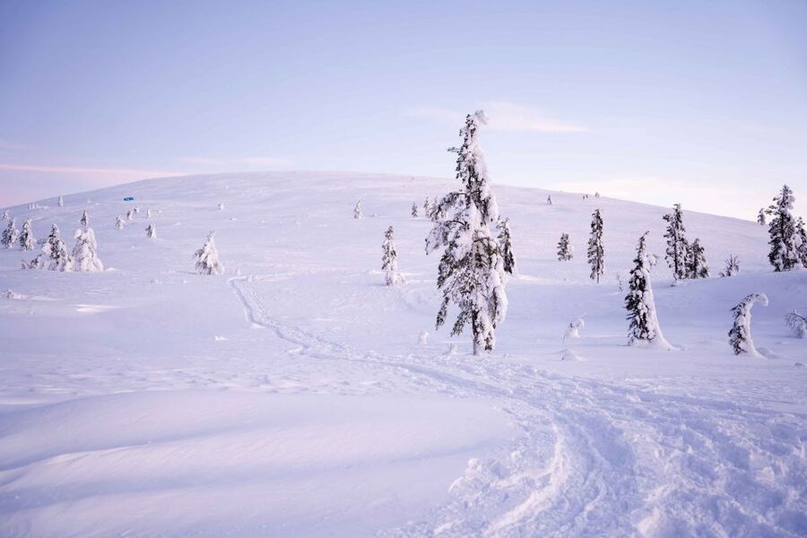 Levi: Backcountry Skiing Adventure - Meeting in Sirkka and preparing for the snow