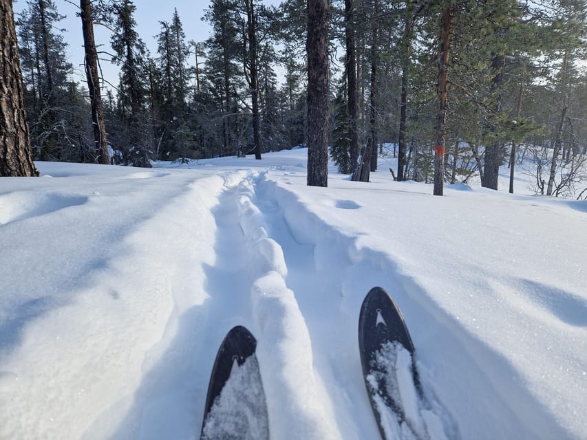 Luleå: Nordic Touring Skiing Adventure - From forest to the frozen Bay of Bothnia