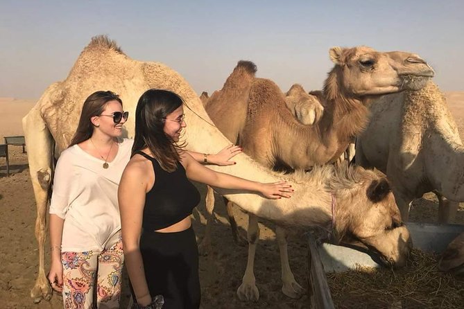 Morning Desert Safari with Camel Ride & Sand Skiing Private Tours - What This Private Abu Dhabi Safari Feels Like