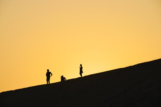 Morning Desert Safari with Camel Ride & Sand Skiing Private Tours - The Camel Farm and Short Camel Ride
