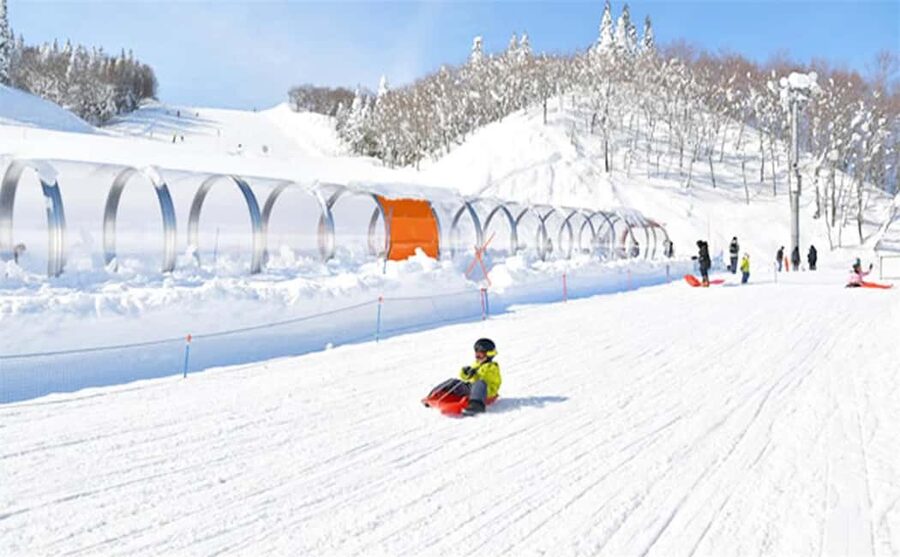 Mt. Fuji Skiing Experience- YETI Ski Resort & Onsen Day Trip - Why timing can make or break the day