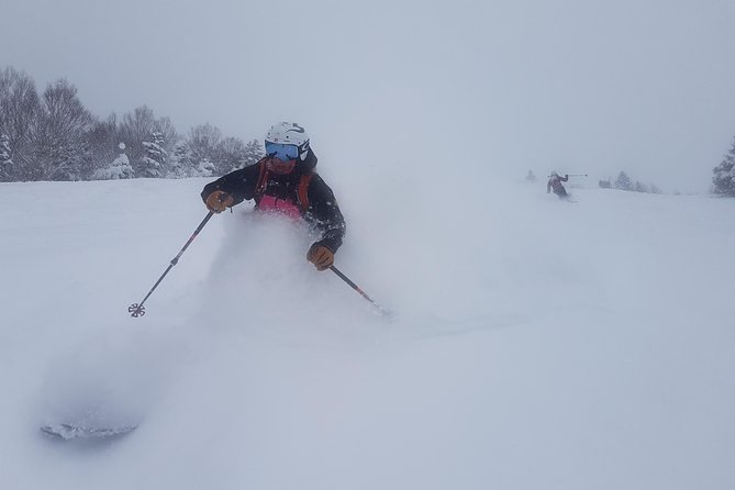 Nagano Ski Buffet - Snow monkeys, Shibu Town, and the cultural side of Nagano