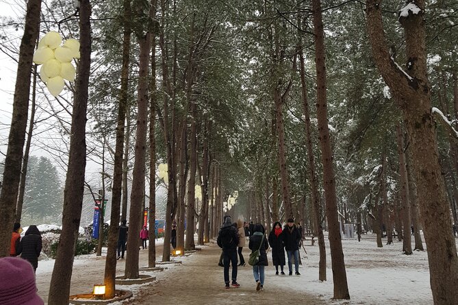 Nami Island + Ski Tour - Riding the ferry to Nami Island